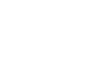 ANAISILVA Beauty Agency