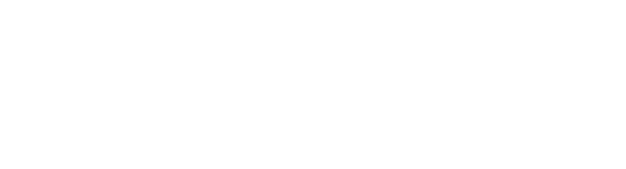 ANAISILVA Beauty Agency